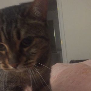 Meet your Posher, Sara